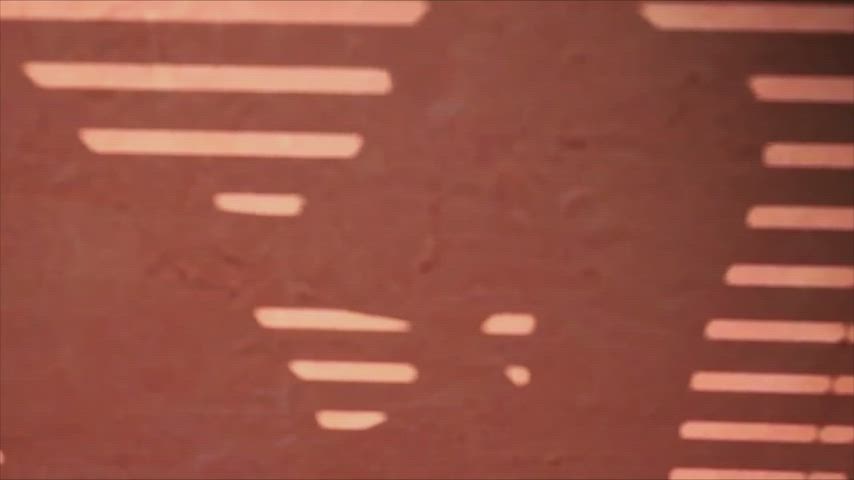 Family Futanari swallowing Porn GIF