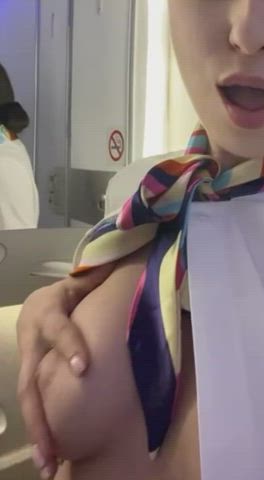 Airplane Babe Bathroom naughty Nipples Stewardess boobs Toilet Uniform Porn GIF